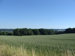 FND Mühlenholz in Gersdorf