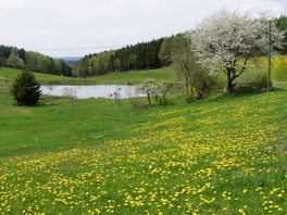 Jahnsgrüner Teich