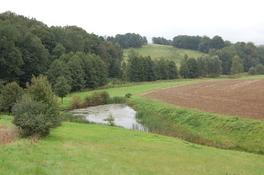 Feuchtgebiet im Stangendorfer Wilhelmsgrund