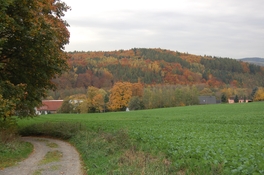 NSG "Hartensteiner Wald"