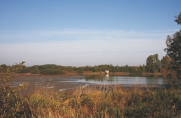 Limbacher Teichgebiet - Blick auf den Großen Teich